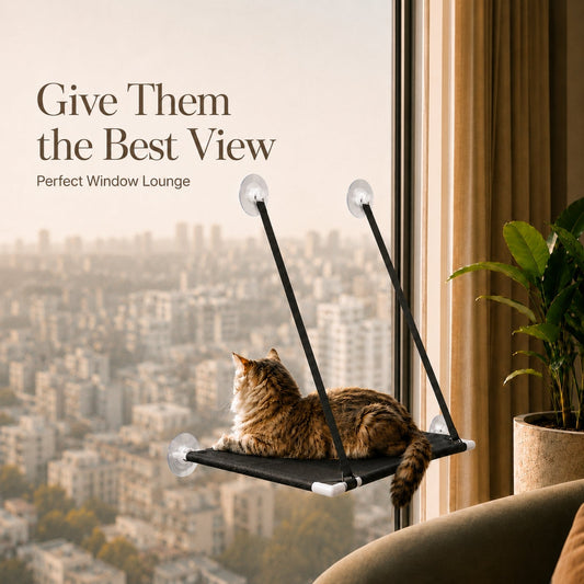 Tabby cat relaxing on the Pawables Window Lounge cat window perch